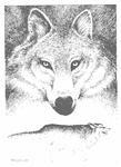winterwolf