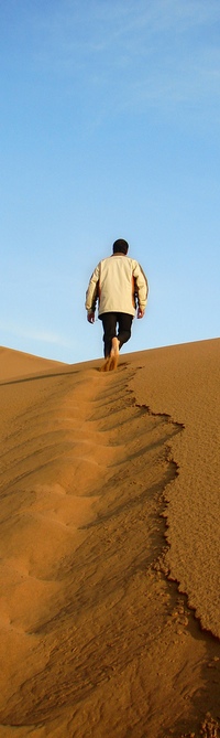 Desert Leader, &copy; Hamed Saber, Creative Commons Attribution License