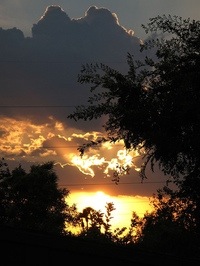 Phoenix Sunset, &copy; Kankie, Creative Commons Attribution License
