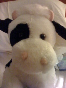 All fear the OVERCOW-2010. Do not imagine you can hide from her.