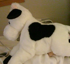 OVERCOW-2010's Sumptuous and Buxom Torso