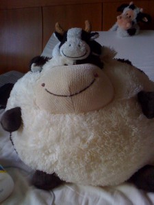 Lulu with Large Round Cow (Ike is bartending in the back on top of the wedge)
