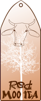 Red Moo Tea, © @sandykidd, used with permission