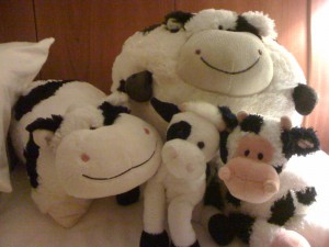 overherd-early-group-shot
